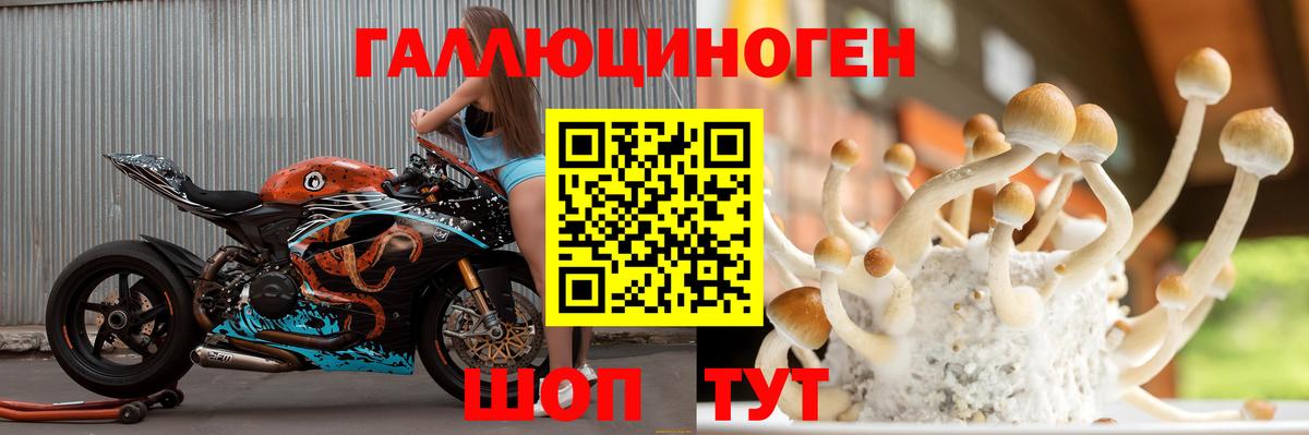 Ростов Великий  Псилоцибиновые грибы ЛСД  Вход с VPN 